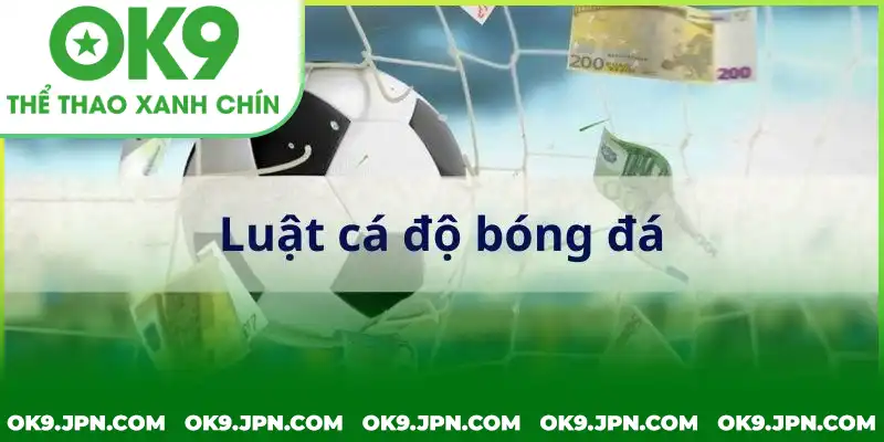 Quy định về trận đấu bị hủy theo luật cá độ bóng đá là gì Quy định về trận đấu bị hủy theo luật cá độ bóng đá là gì